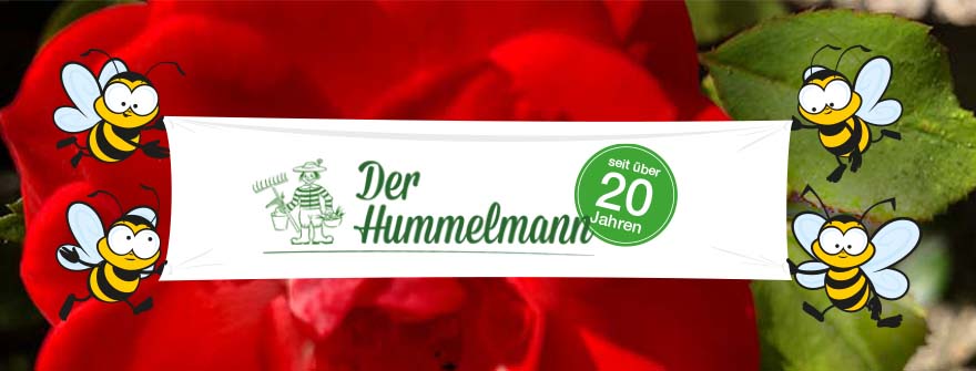 Hummelmann Onlinebanner Jubilaeum Onlineversion