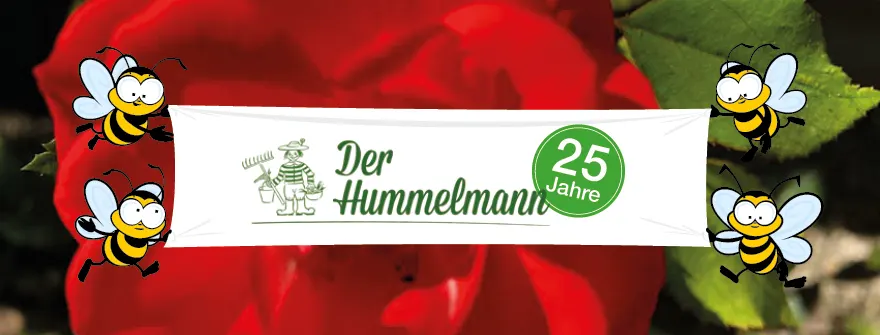 Hummelmann Onlinebanner Jubilaeum Onlineversion